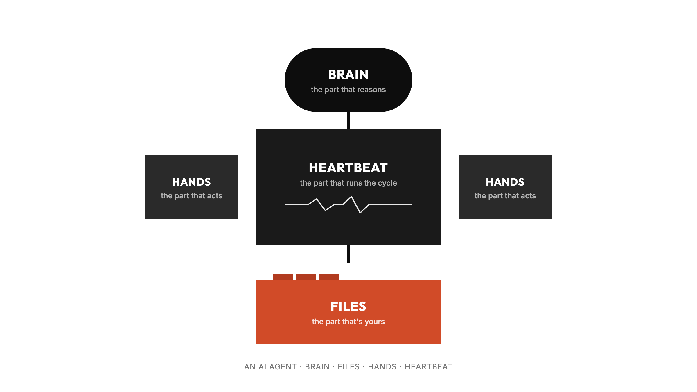 An AI agent diagram showing four labeled parts: Brain at the top, Heartbeat in the centre with a pulse line, Hands at either side, and Files anchored at the bottom in Valencia red